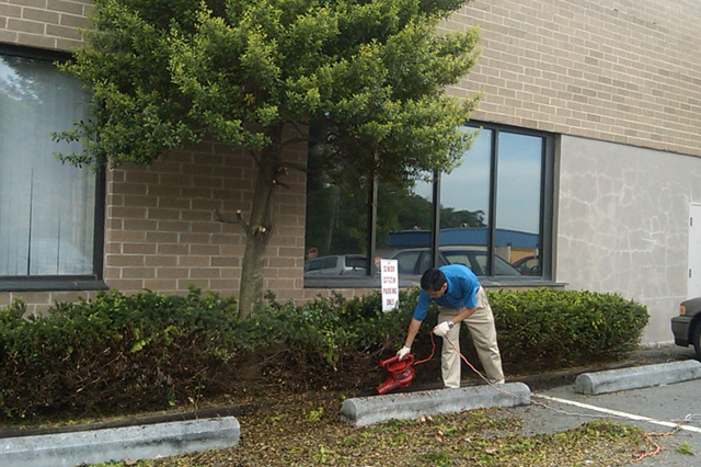 Va Spring Cleaning 09 10.jpg